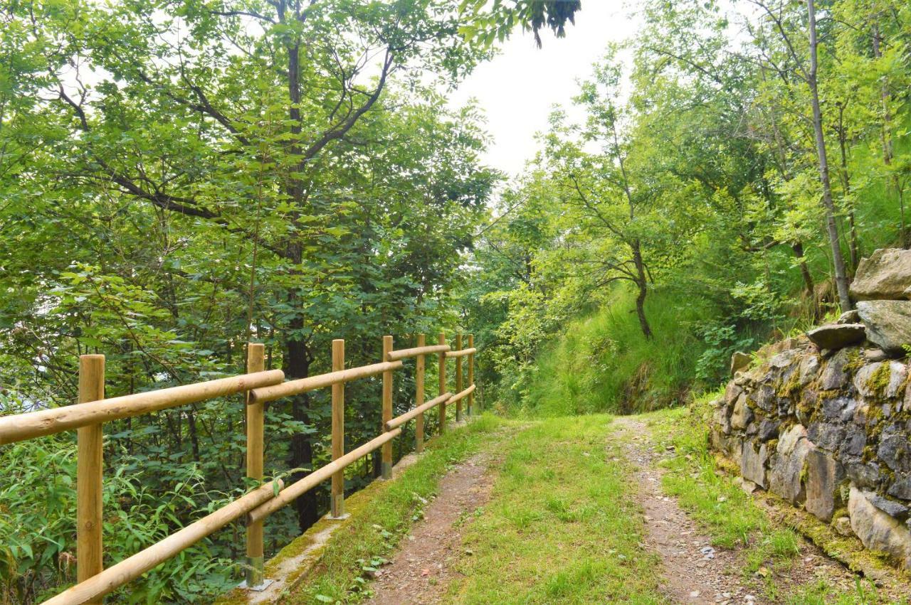 Gold Cave Casa Vacanze Relax Nel Bosco Appartamenti Pessinetto Екстер'єр фото
