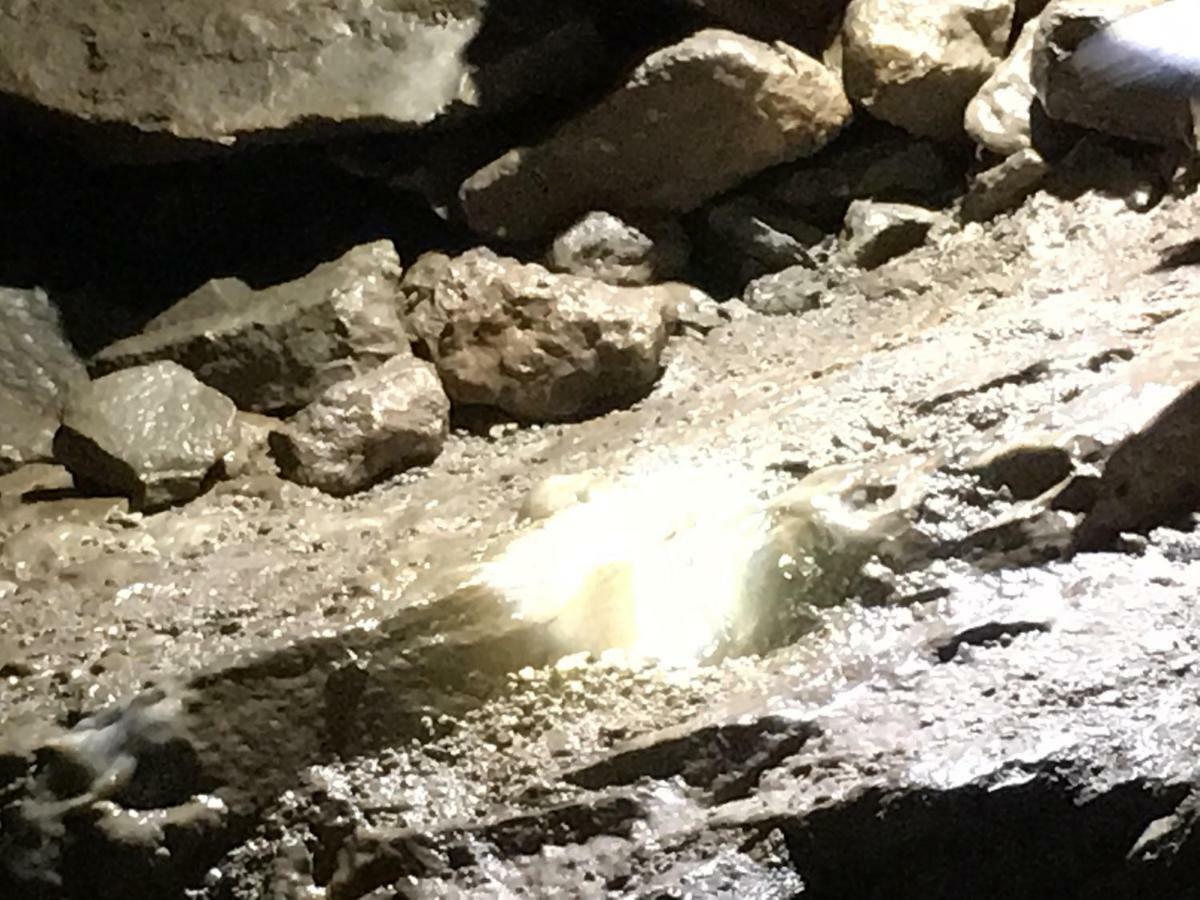 Gold Cave Casa Vacanze Relax Nel Bosco Appartamenti Pessinetto Екстер'єр фото